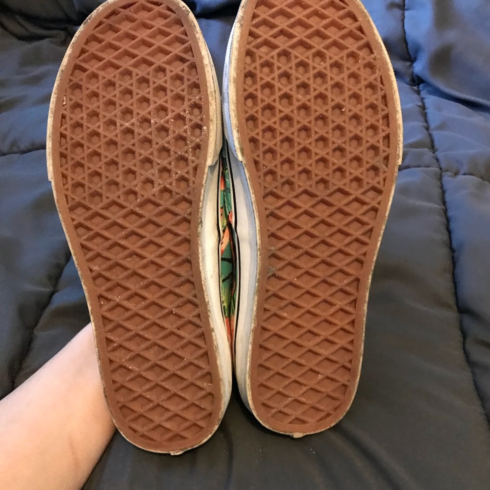 gently used flamingo vans